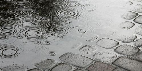 rain on brick sidewalk