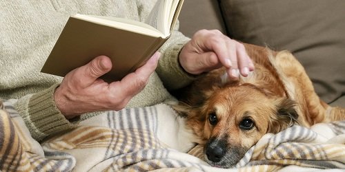 old man reading with dog