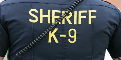 sheriff-k-9-shirt