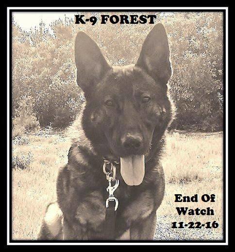 k-9-forest-end-of-watch