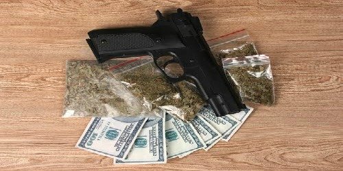 pot gun money trafficking