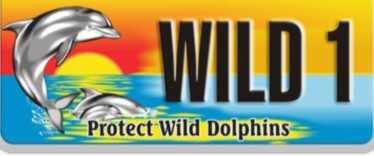 Protect Wild Dolphins