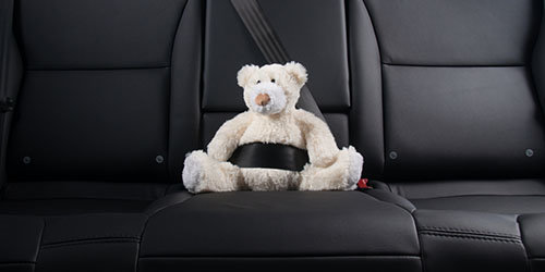 teddy-bear-in-seat-belt