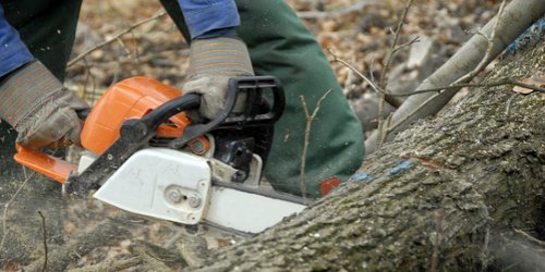 tree-removal-chainsaw